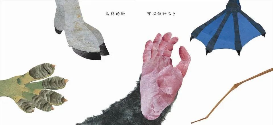 儿童绘本故事推荐《这样的尾巴可以做什么？》