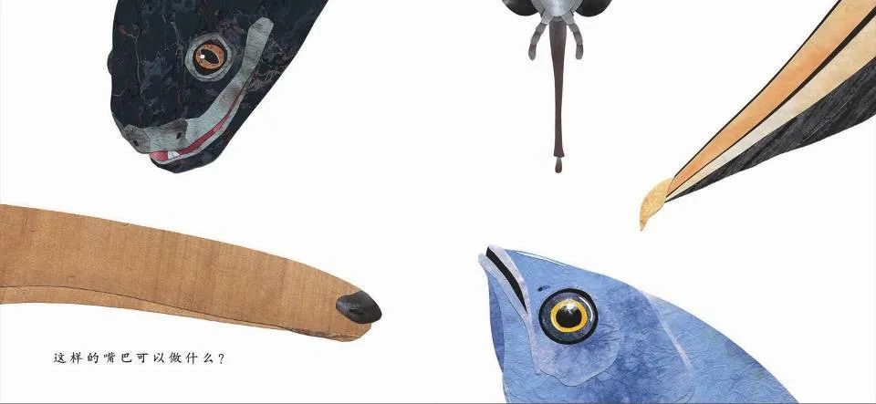 儿童绘本故事推荐《这样的尾巴可以做什么？》