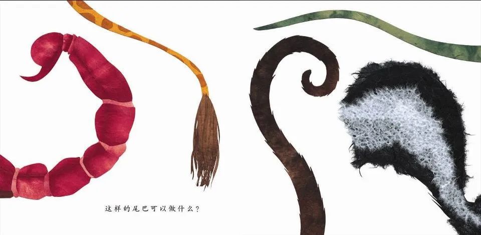 儿童绘本故事推荐《这样的尾巴可以做什么？》