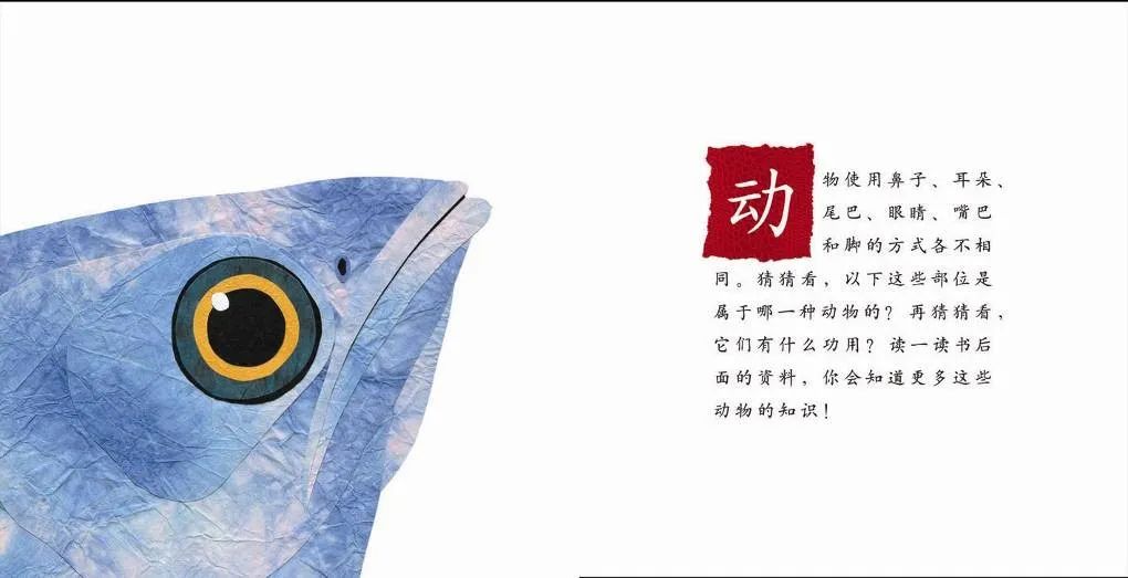 儿童绘本故事推荐《这样的尾巴可以做什么？》