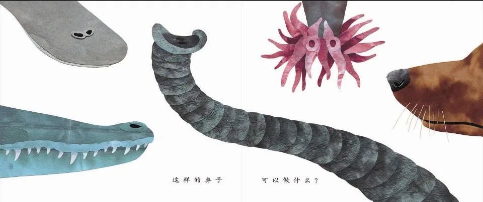 儿童绘本故事推荐《这样的尾巴可以做什么？》
