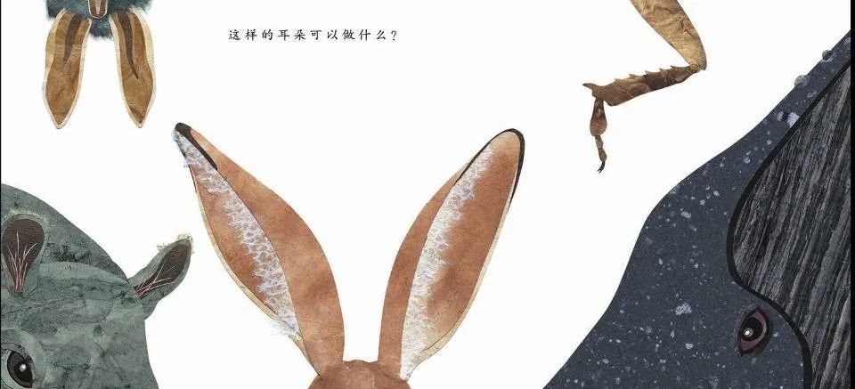 儿童绘本故事推荐《这样的尾巴可以做什么？》