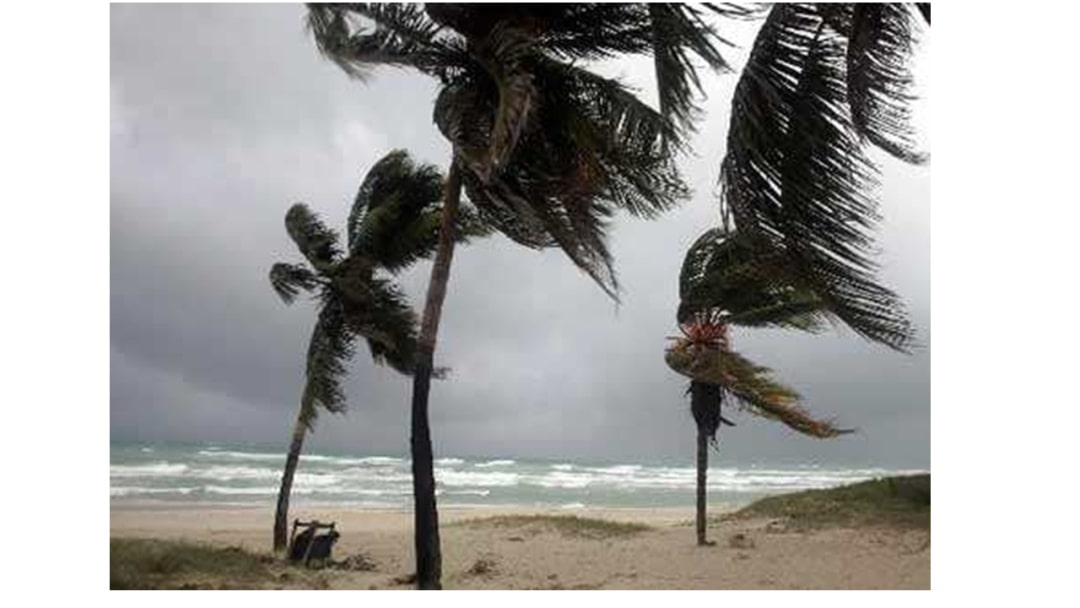 幼儿园大班艺术教案：风和树的游戏