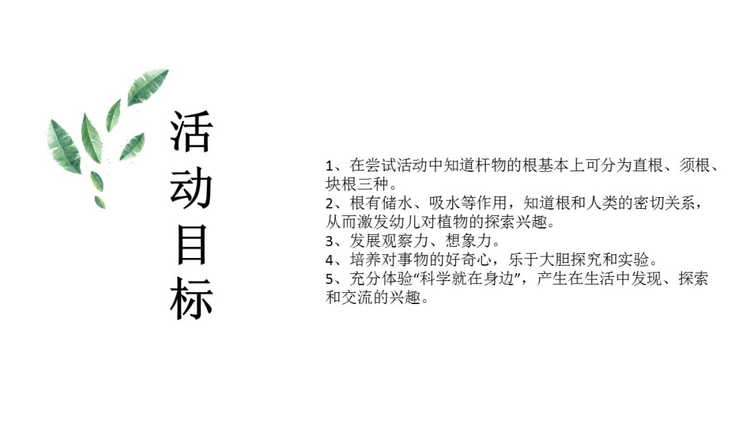幼儿园大班科学教案：根的秘密