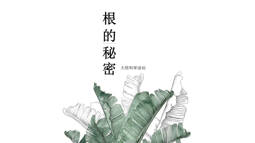 幼儿园大班科学教案：根的秘密