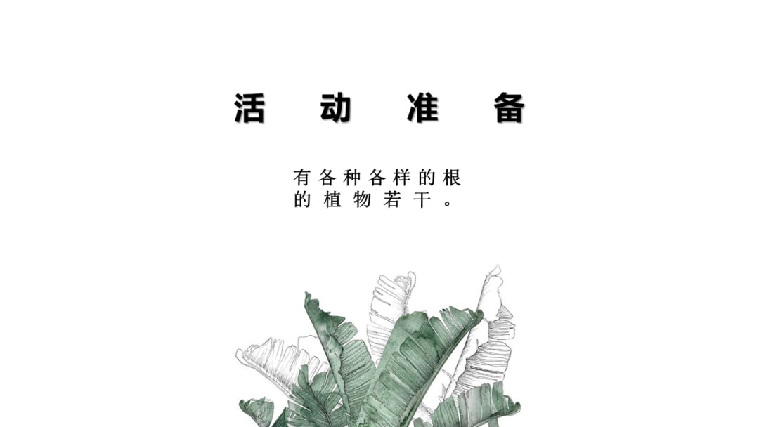 幼儿园大班科学教案：根的秘密