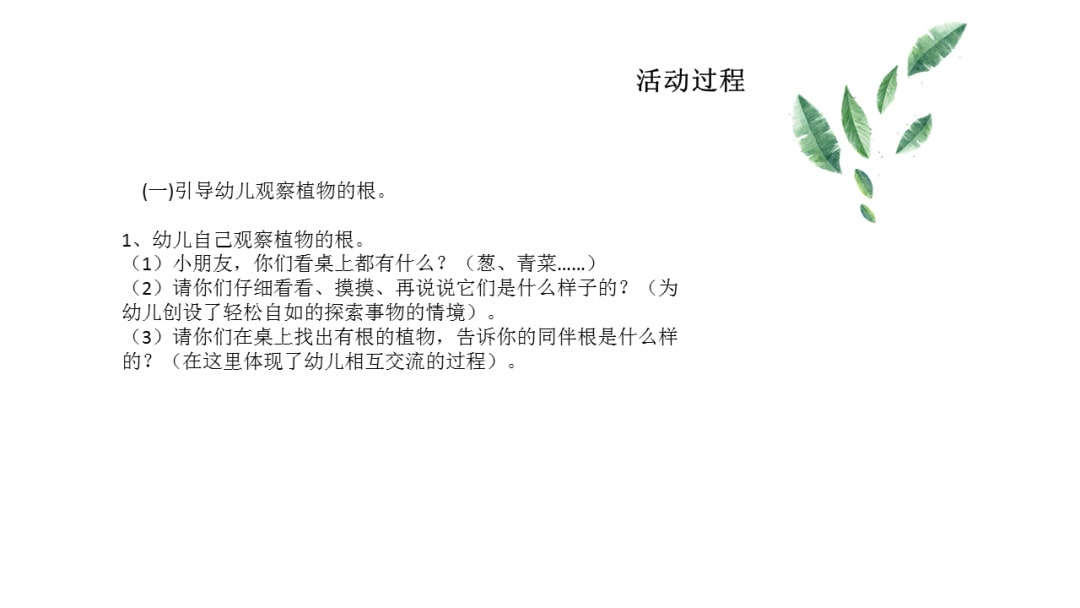 幼儿园大班科学教案：根的秘密