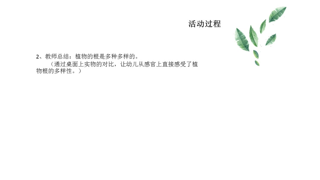 幼儿园大班科学教案：根的秘密