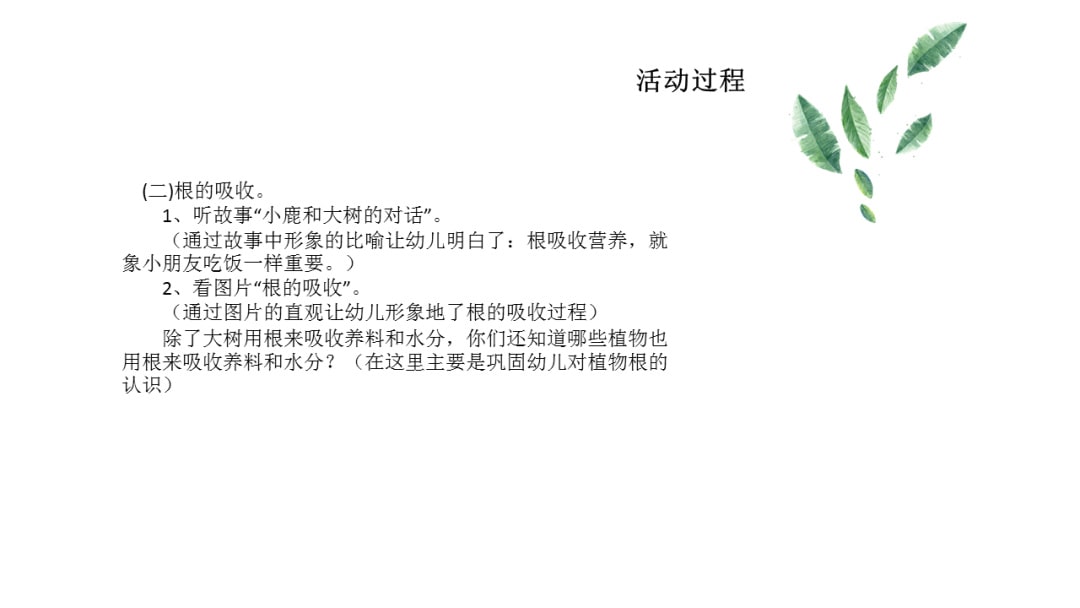 幼儿园大班科学教案：根的秘密