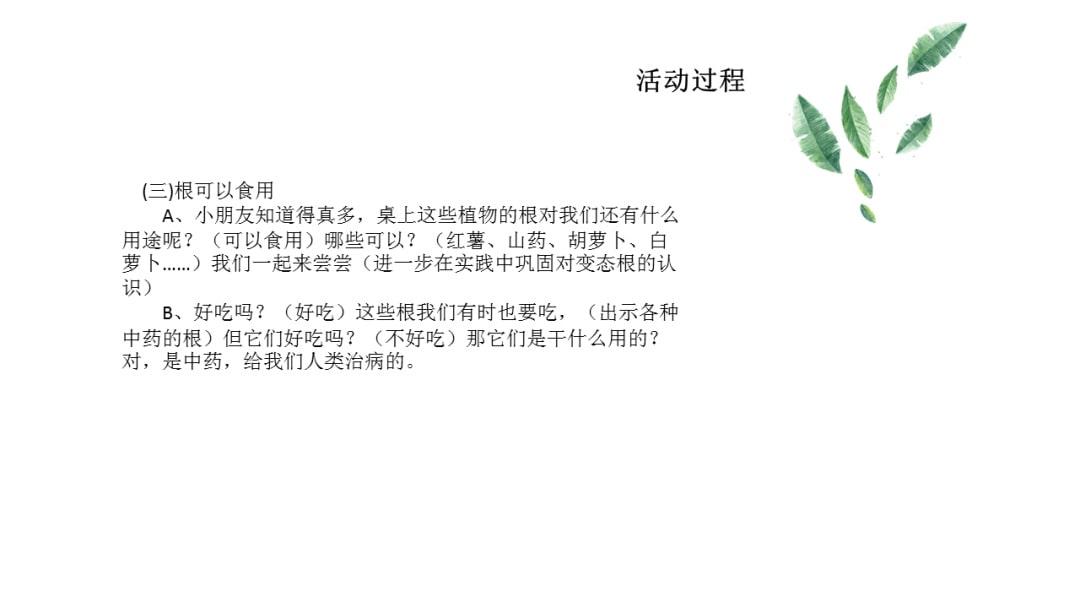 幼儿园大班科学教案：根的秘密