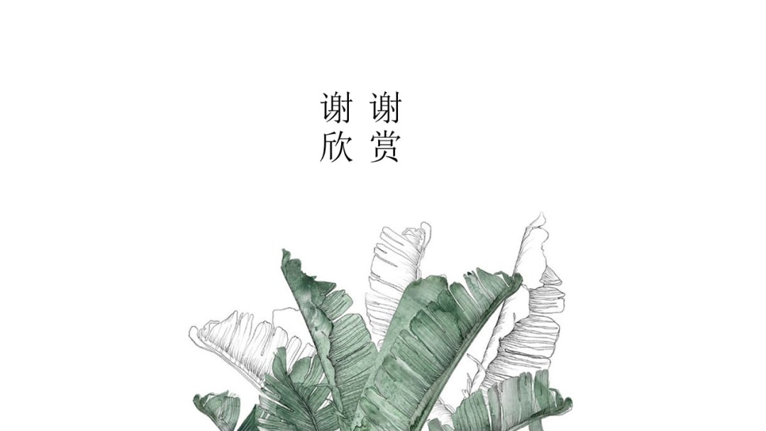 幼儿园大班科学教案：根的秘密