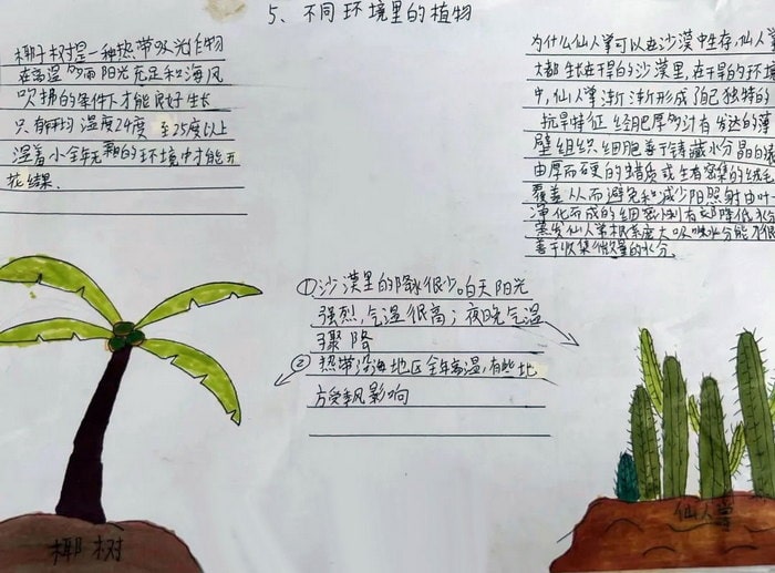 植物与环境手抄报简单又漂亮