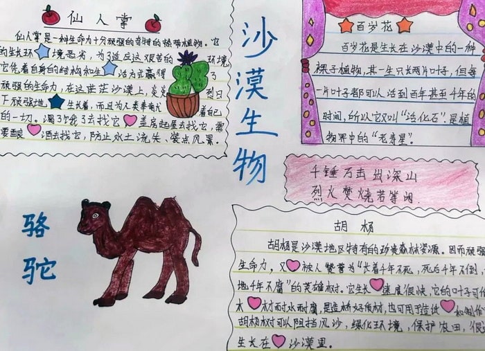 植物与环境手抄报简单又漂亮