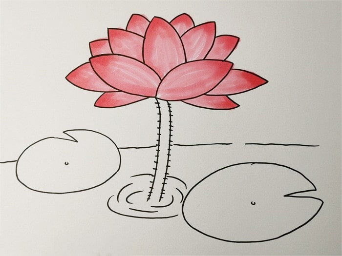 荷花简笔画怎么画简单又漂亮