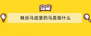 蛛丝马迹里的马是指什么