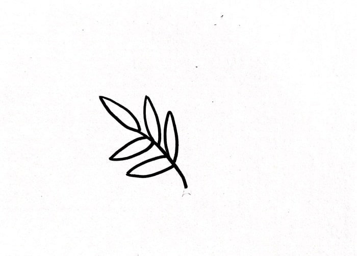 含羞草简笔画图片教程