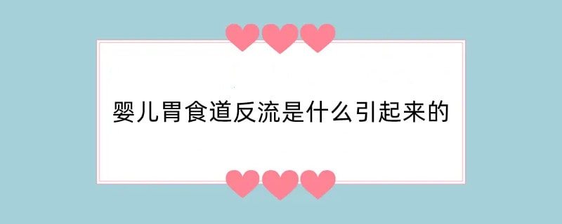 婴儿胃食道反流是什么引起来的