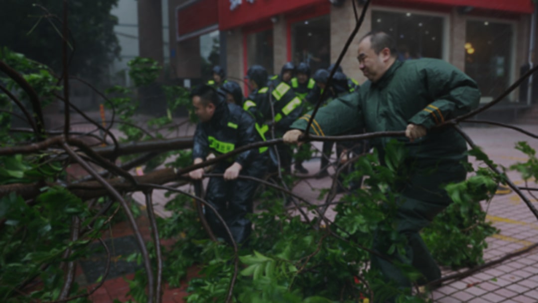 幼儿园大班健康教案：可怕的台风