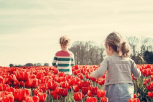 林姓起名大全 林姓孩子取名字大全