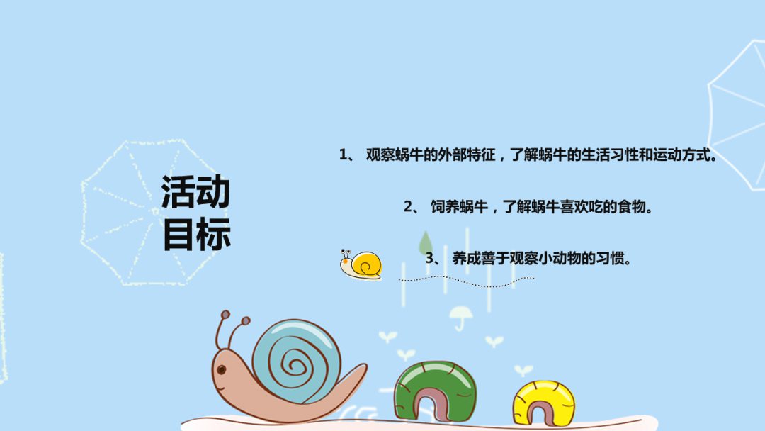 幼儿园大班科学教案：饲养蜗牛