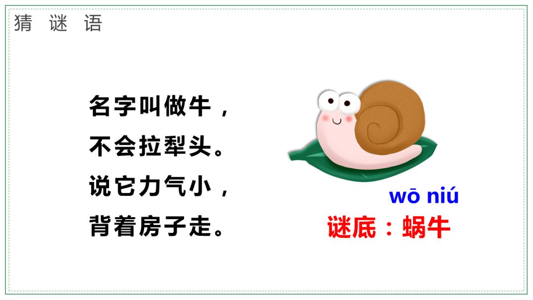 幼儿园大班科学教案：饲养蜗牛