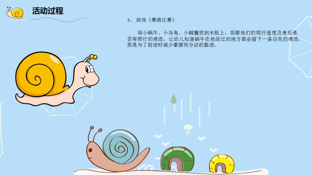 幼儿园大班科学教案：饲养蜗牛