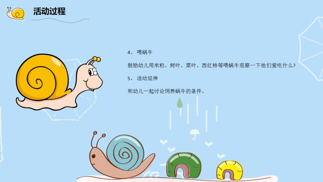 幼儿园大班科学教案：饲养蜗牛