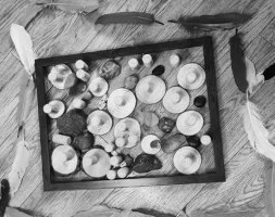 幼儿自主游戏中的“留白”艺术