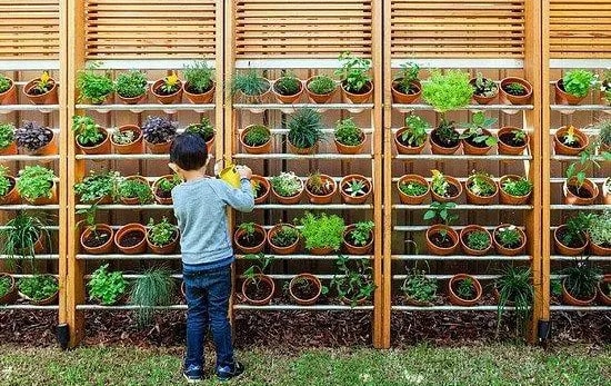 幼儿园小中大班谷雨节气活动方案