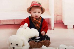 兔宝宝取名简单大方 向上大气的兔宝宝名字