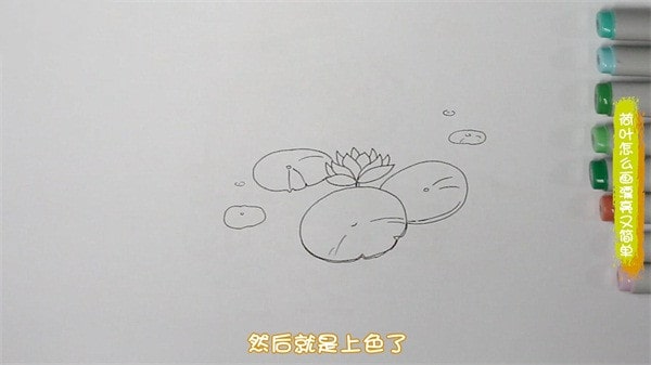 荷叶简笔画图片教程