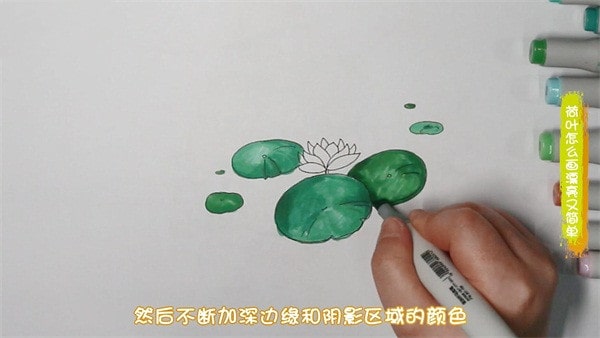 荷叶简笔画图片教程