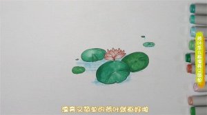 荷叶简笔画图片教程
