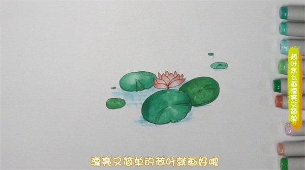 荷叶简笔画图片教程