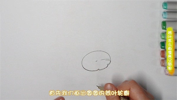 荷叶简笔画图片教程