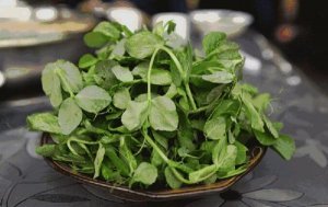 春天给孩子吃什么增强免疫力，个子长得快