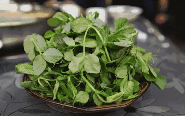 春天给孩子吃什么增强免疫力，个子长得快