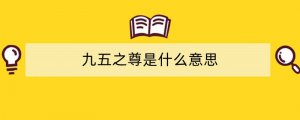 九五之尊是什么意思