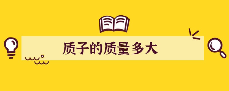 质子的质量多大