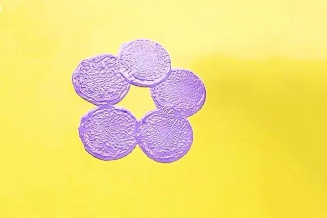 幼儿印画春天：怎么用海绵画小花(步骤图解)