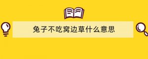 兔子不吃窝边草什么意思