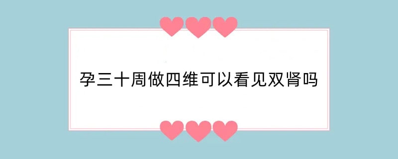 孕三十周做四维可以看见双肾吗
