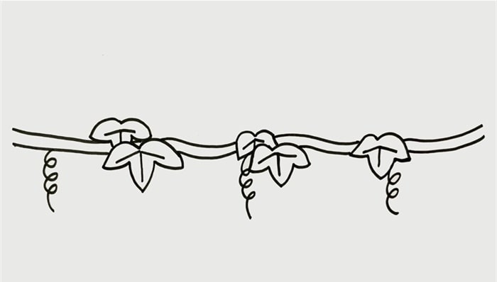 葡萄树简笔画图片教程