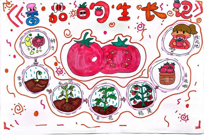 生物自然笔记手抄报图片（精选6张）