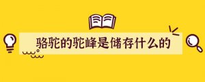 骆驼的驼峰是储存什么的