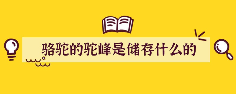 骆驼的驼峰是储存什么的