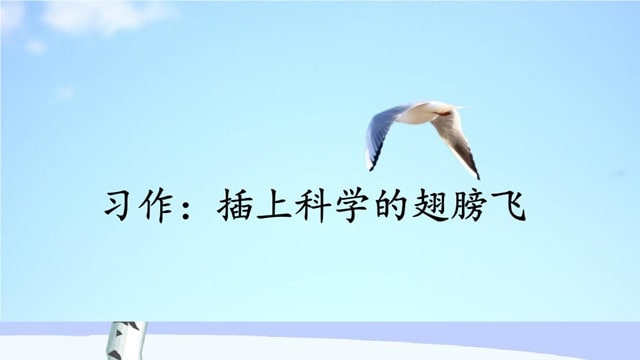 六年级插上科学的翅膀飞作文600字（通用20篇）