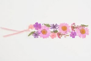 怎么用干花瓣制作书签方法(步骤图解)