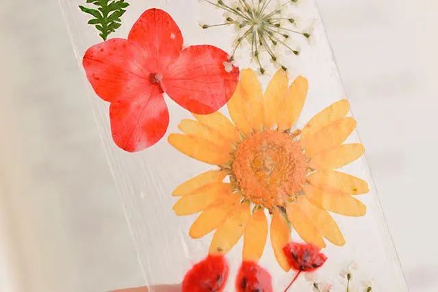 怎么用干花瓣制作书签方法