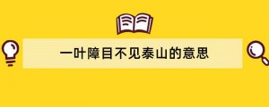 一叶障目不见泰山的意思